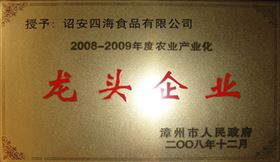 08年漳州市龙头企业