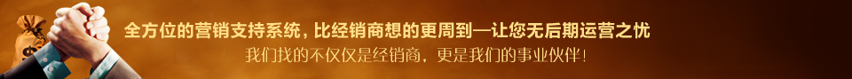 黄金兴咸金枣
